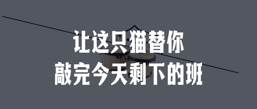 让这只猫替你敲完今天剩下的班